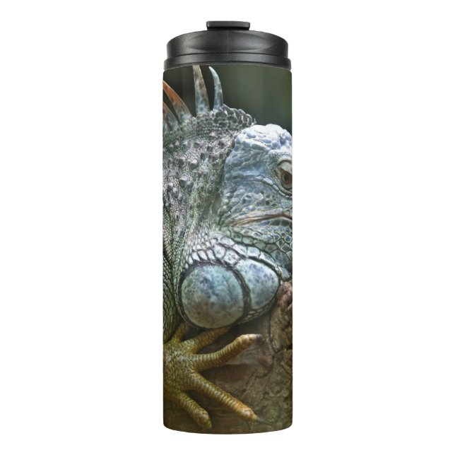 Iguana tumbler (Front)