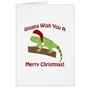 Iguana Vous souhaite un joyeux Noël