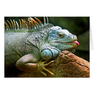 Iguana with Tongue Sticking Out Blank Card