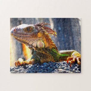 Iguanas in Florida Jigsaw Puzzle