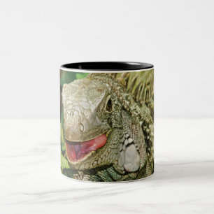 Iguanas Two-Tone Coffee Mug