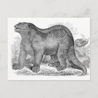 Iguanodon Antique Print Postcard