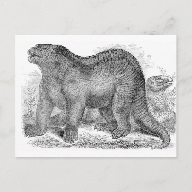Iguanodon Antique Print Postcard (Front)