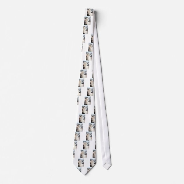iguazu falls Brazill Tie (Front)