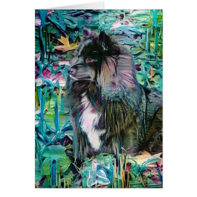 IHANA Finnish Lapphund Lappy art cards (Front)