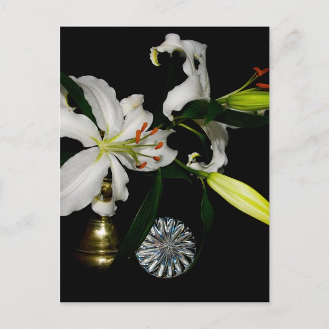 Iirsh Design -Brass and Flower Collection Postcard (Front)