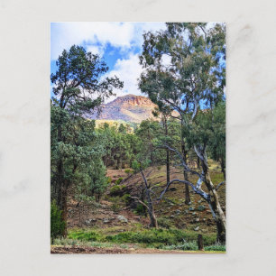 Ikara-Flinders Ranges SA Postcard