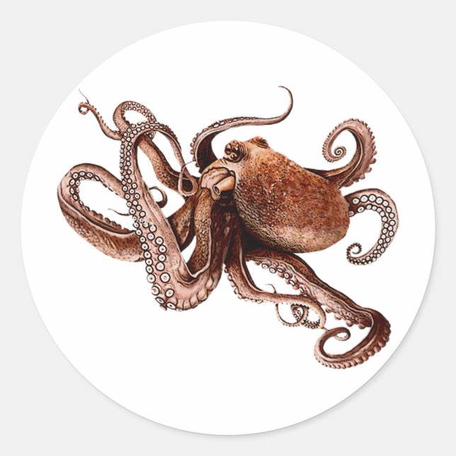Iker The Octopus Classic Round Sticker (Front)