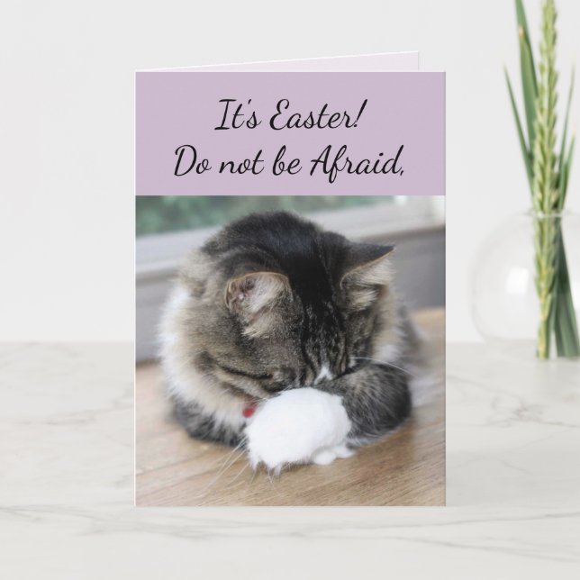 Il A Levé Kitten Carte Pâques (Devant)