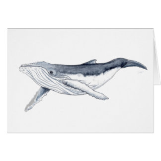 Il boit baleine yubarta