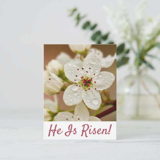 "Il est ressuscité" Résurrection dimanche Carte po (Debout devant)