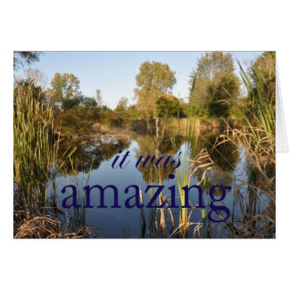 Il était extraordinaire