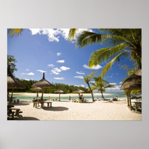 Ile Aux Cerf, most popular day trip for 3 Poster