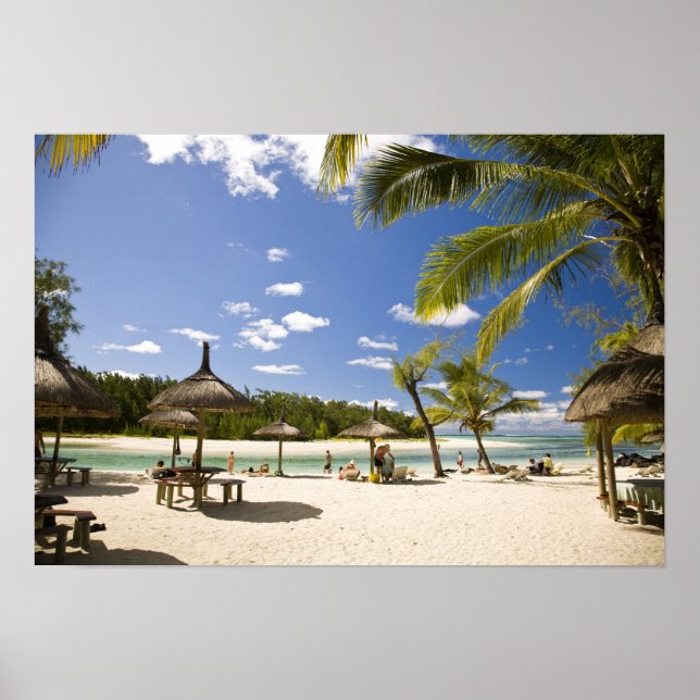 Ile Aux Cerf, most popular day trip for 3 Poster (Front)