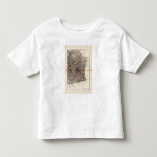 Ile de Mascareigne Toddler T-shirt