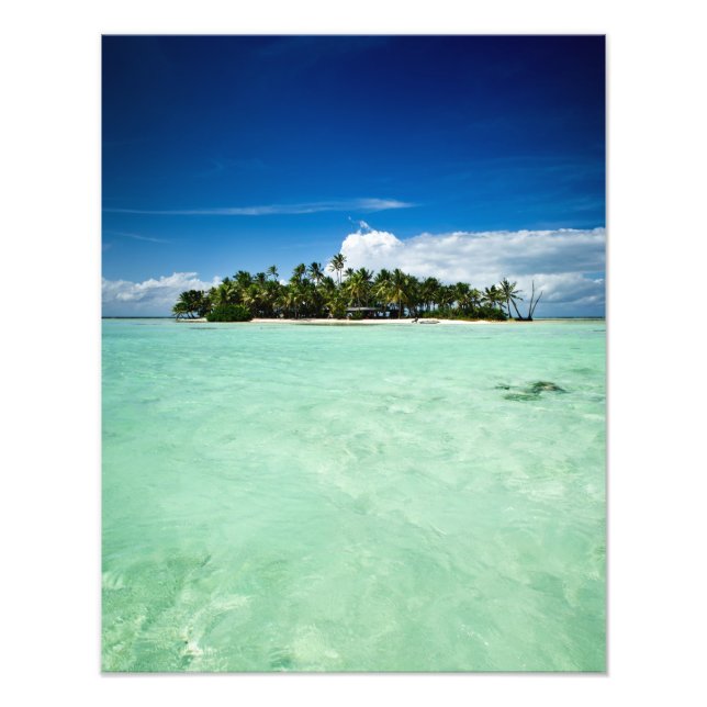 Île du Pacifique avec palmiers photo imprimé (Devant)