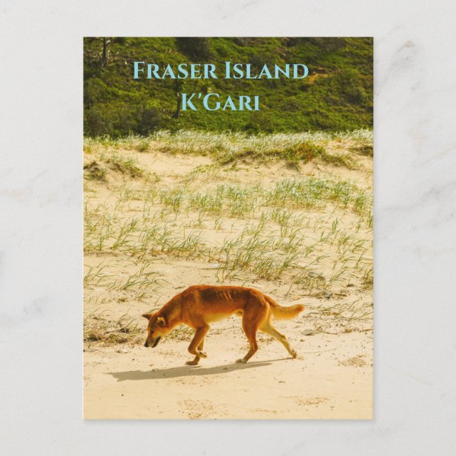 Île Fraser / Carte postale K'Gari (Devant)
