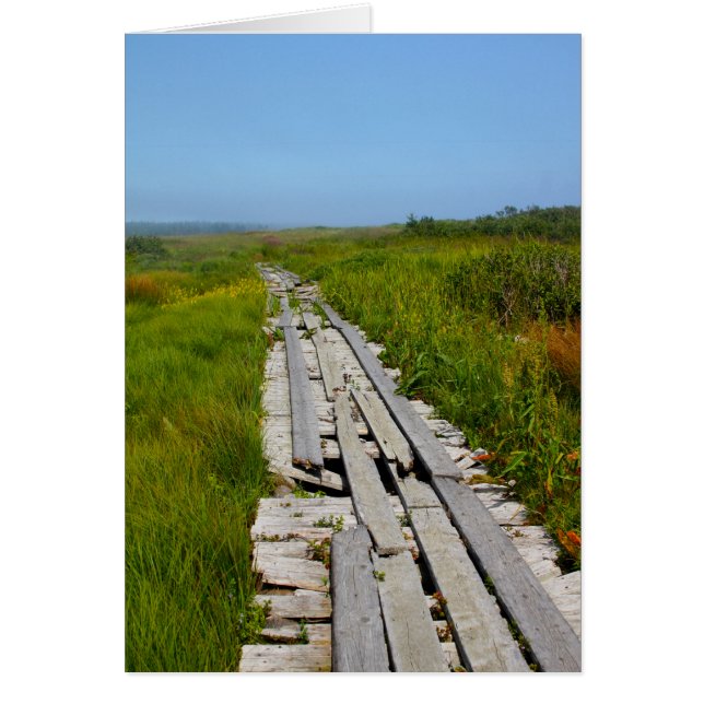 Île Whitehead (N.-B.) (Devant)