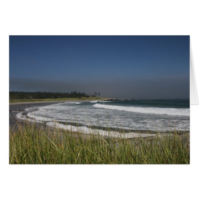 Île Whitehead (N.-B.) (Devant horizontal)