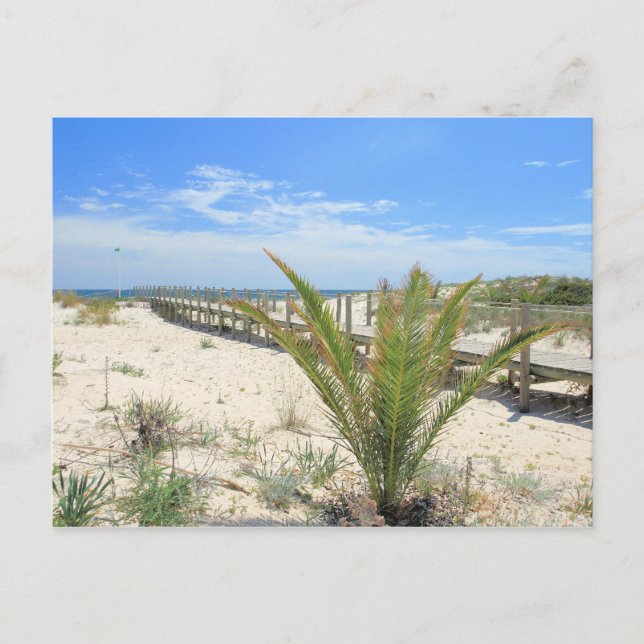 Ilha de Tavira Postcard (Front)