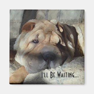 I'll Be Waiting For You Magnet
