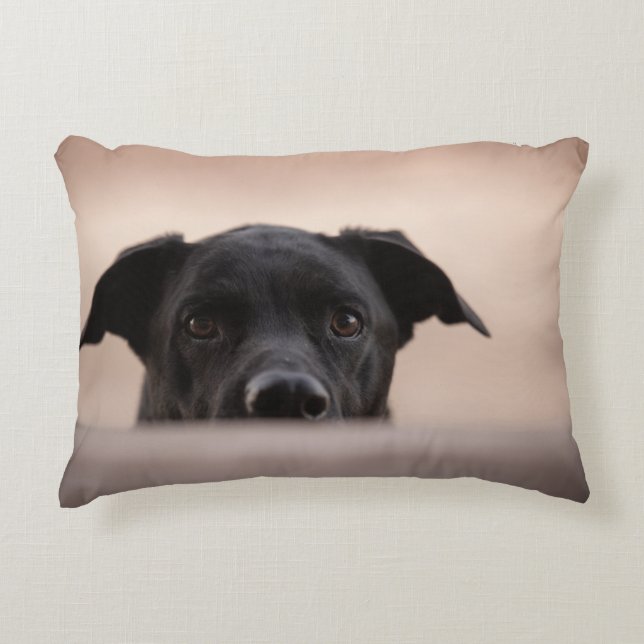 I'll Be Watching You Accent Pillow (Front)