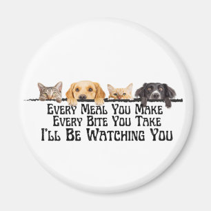 I'll Be Watching You Funny Cat and Dog Magnet