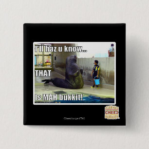 I'll haz u know 2 inch square button