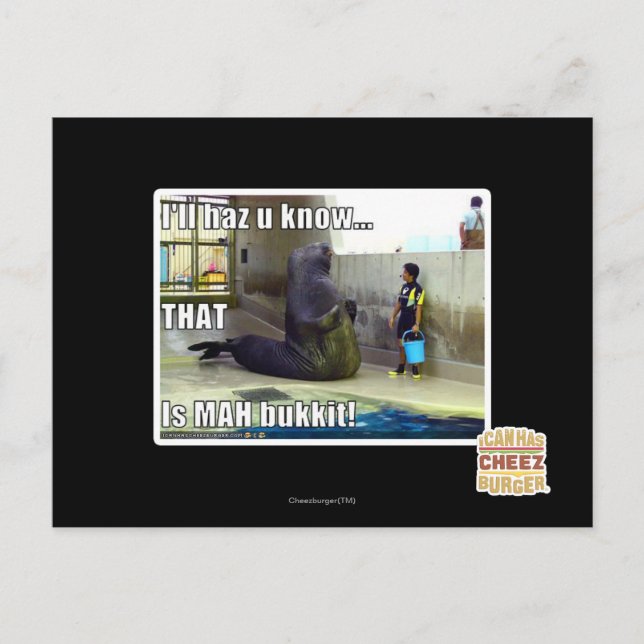 I'll haz u know postcard (Front)
