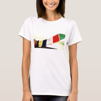 i'll say a little tibetan prayer for you T-Shirt