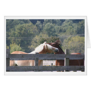 I'll Scratch Your Back ... Card