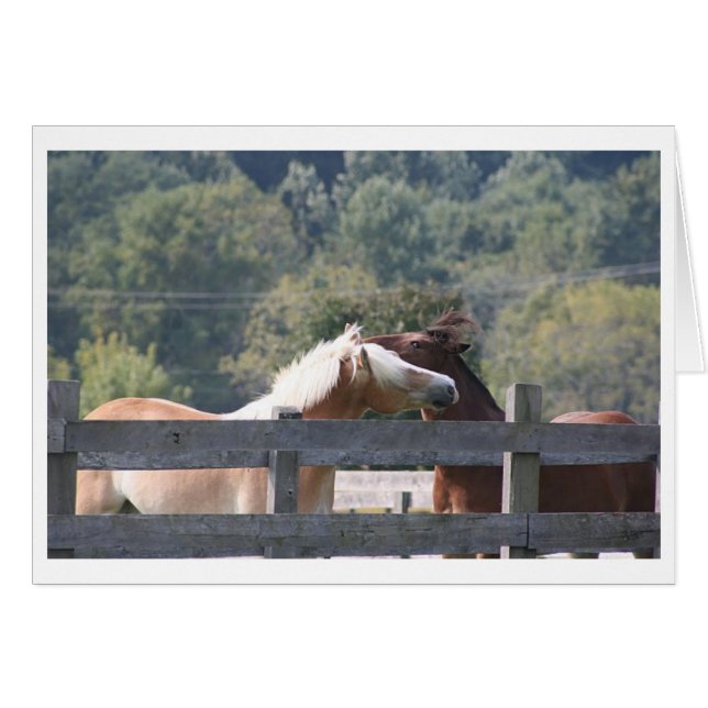 I'll Scratch Your Back ... Card (Front Horizontal)