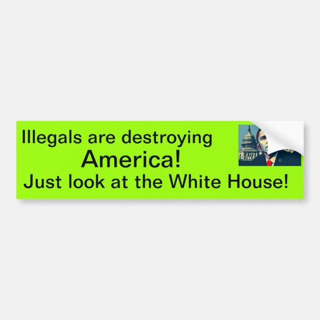 Illegals are destroying America! Bumper Sticker (Front)
