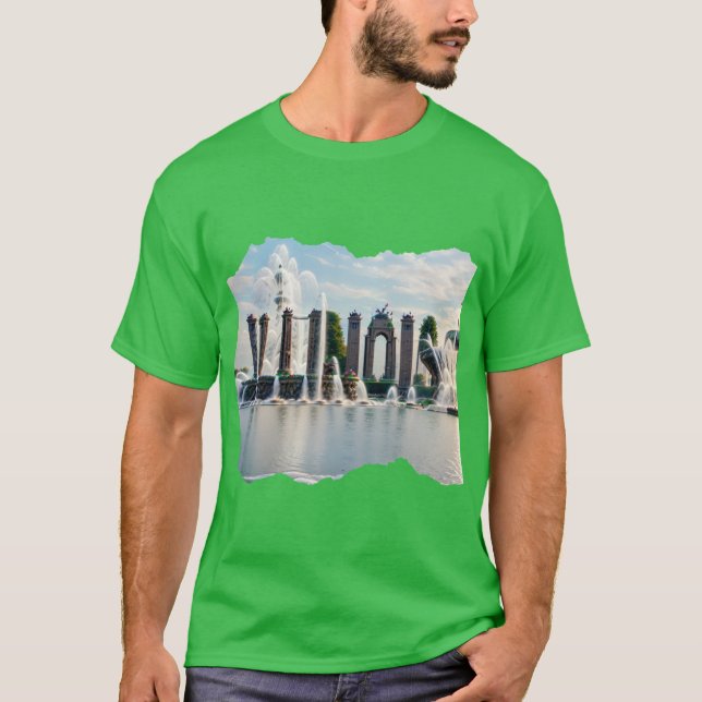 ILLINOIS 24 4 T-Shirt (Front)