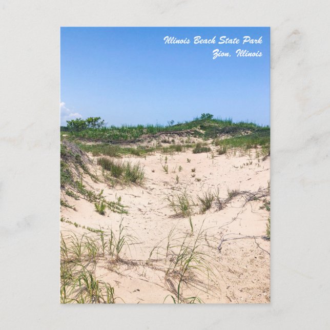 Illinois Beach State Park Postcard (Front)