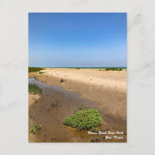 Illinois Beach State Park Postcard