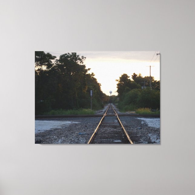Illinois living canvas print (Front)