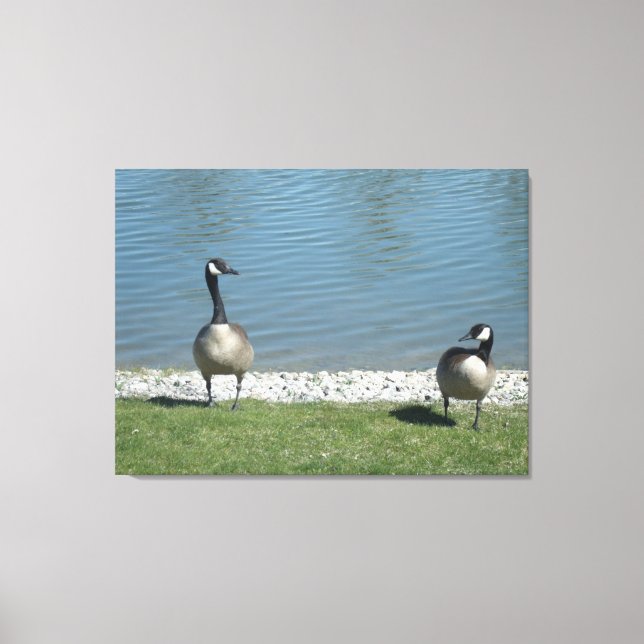 Illinois living canvas print (Front)