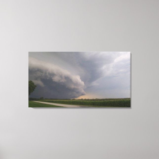 Illinois living canvas print (Front)