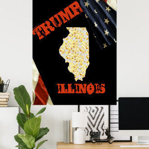 ILLINOIS POSTER