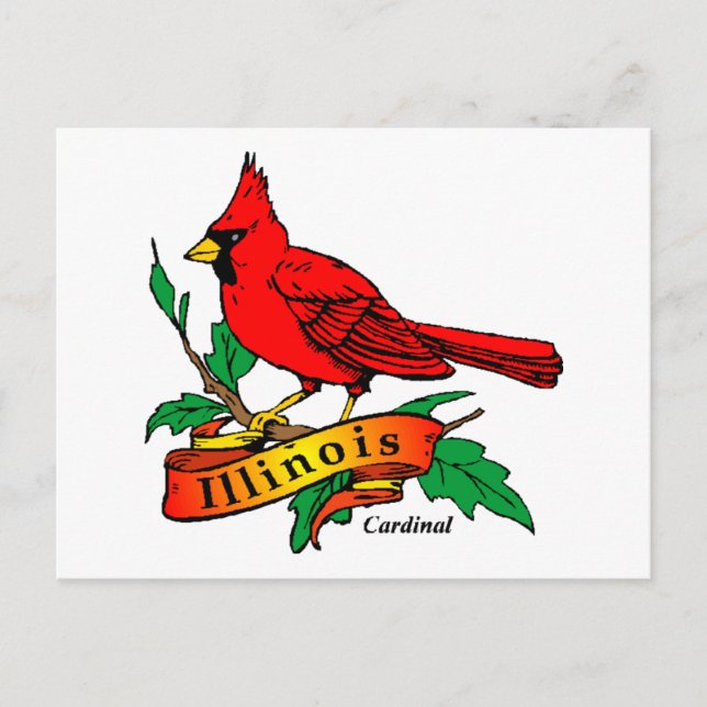 Illinois State Bird - Cardinal Postcard (Front)