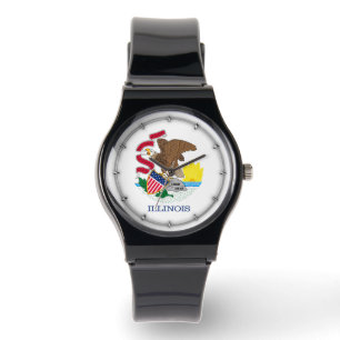 Illinois State Flag Design Watch