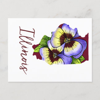 Illinois State Flower Postcard