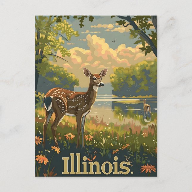 Illinois White-tailed deer Postcard (Front)