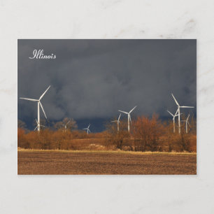 Illinois Windmills Postcard