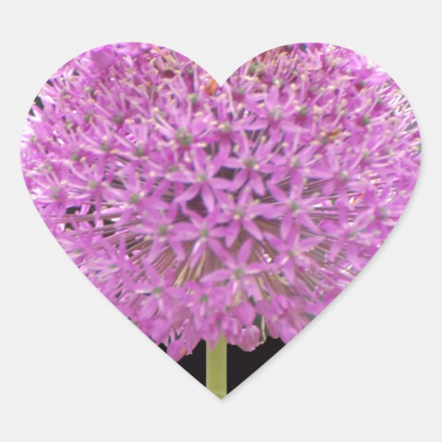 Illium Summer Spring Flower -Irish Design Heart Sticker (Front)