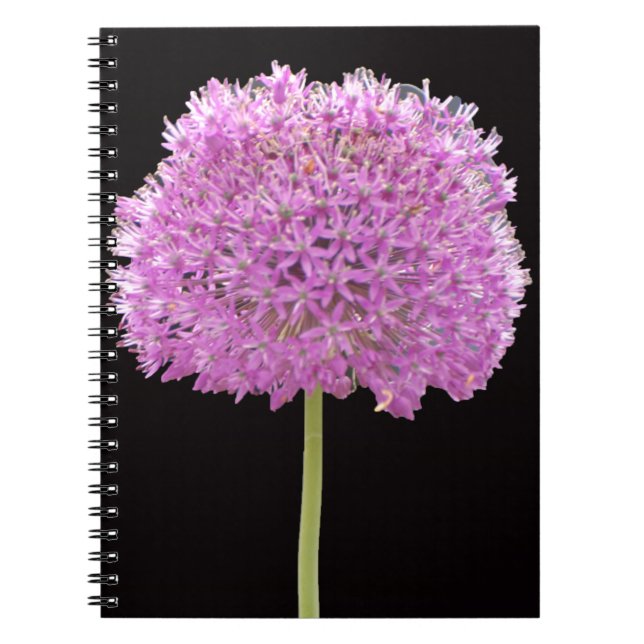 Illium Summer Spring Flower -Irish Design Notebook (Front)