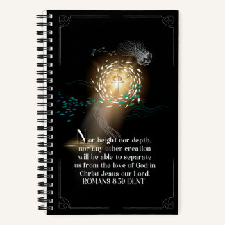 Illuminated Journal N