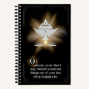 Illuminated Journal O
