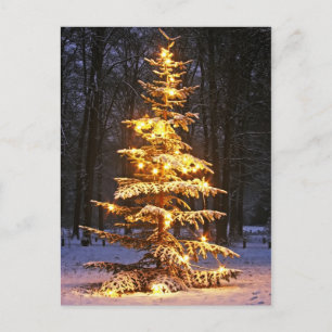 Illuminated snowy christmas tree in the woods at n holiday postcard